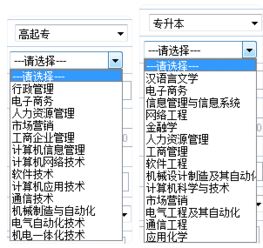 電的分類與網(wǎng)絡(luò)遠(yuǎn)程技術(shù)教育